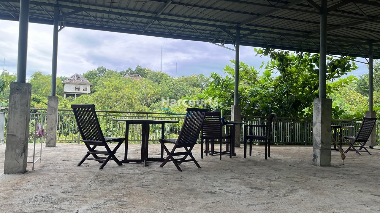 Nestled Quiet Private Road Tropical Modern