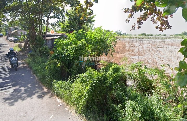 Padang Galak Sanur Exceptional Freehold Ownership