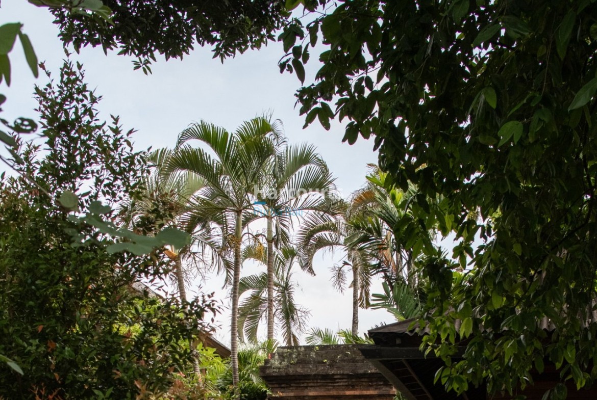 Remodeled American Architect Design Leasehold Opportunity 1