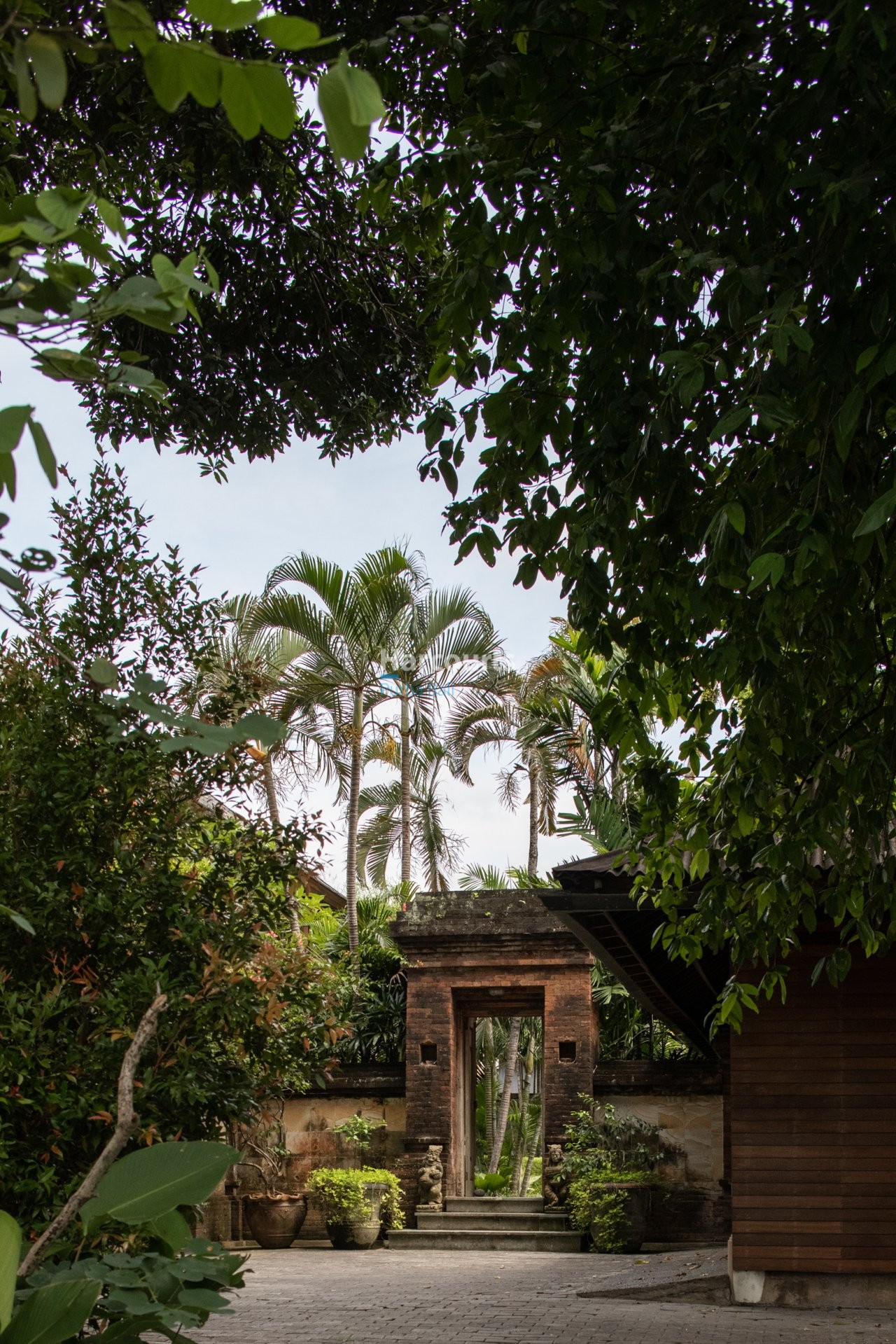 Remodeled American Architect Design Leasehold Opportunity 1