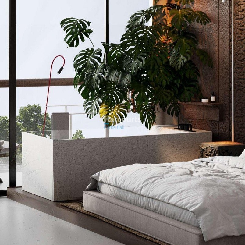 Set Peaceful Coastal Enclave Ricefield View