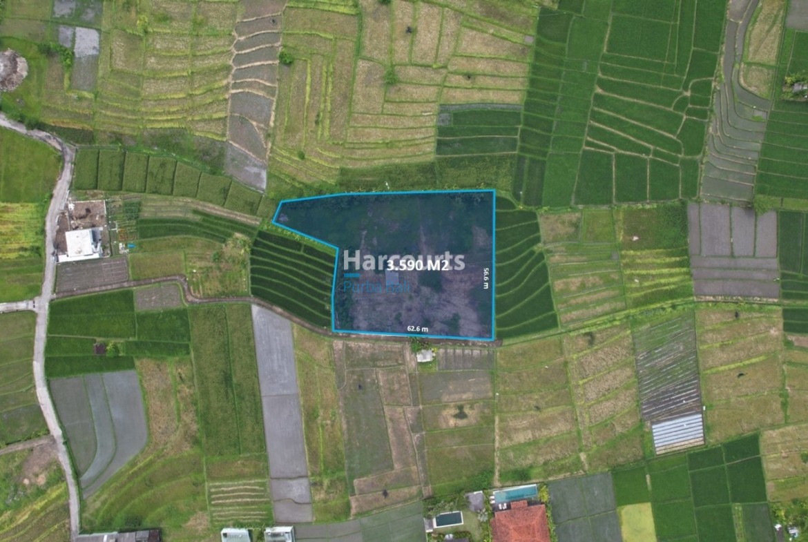 Freehold Hak Milik Land Property Investment