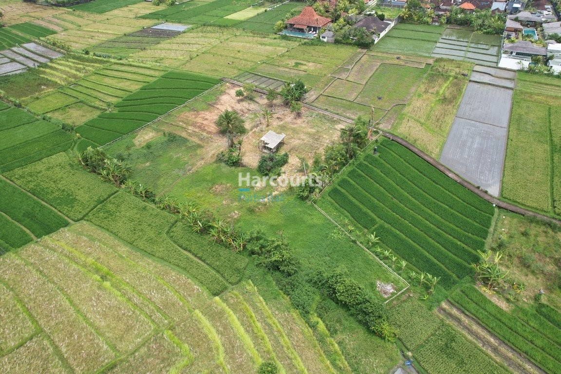 Freehold Hak Milik Land Real Estate Bali