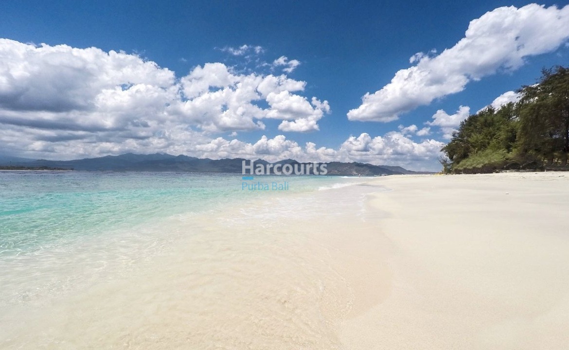 Located Tropical Paradise Island Property Investment