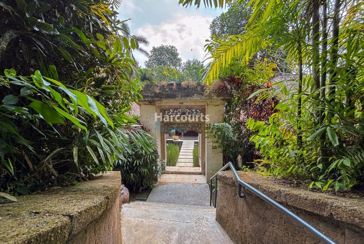 Positioned Amidst Serene Rice Luxury Living