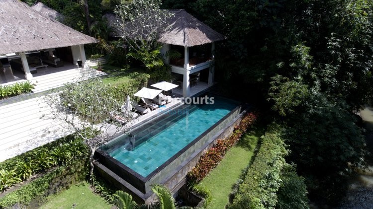 Positioned Amidst Serene Rice Ocean Breeze