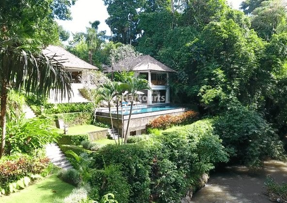 Positioned Amidst Serene Rice Ricefield View