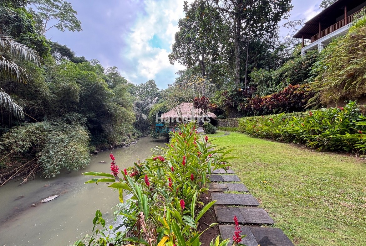 Positioned Amidst Serene Rice Tropical Modern3