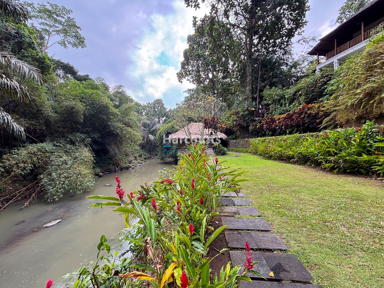 Positioned Amidst Serene Rice Tropical Modern3