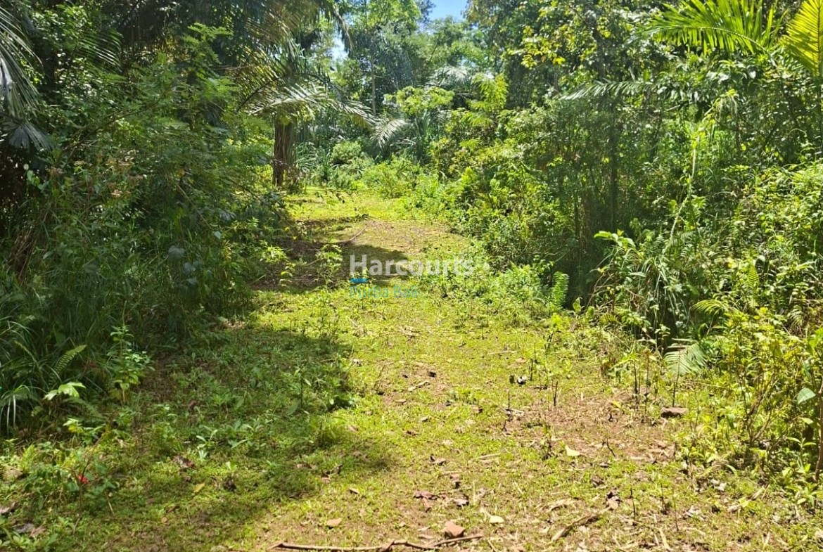 Positioned One Indonesias Fastest Growing For Sale