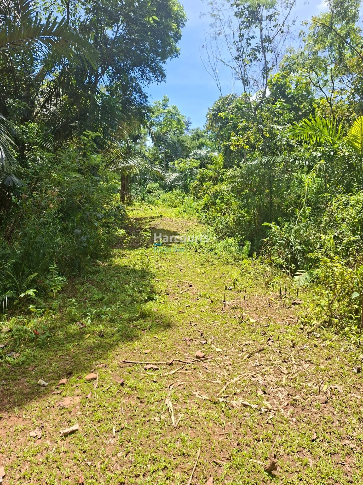 Positioned One Indonesias Fastest Growing For Sale