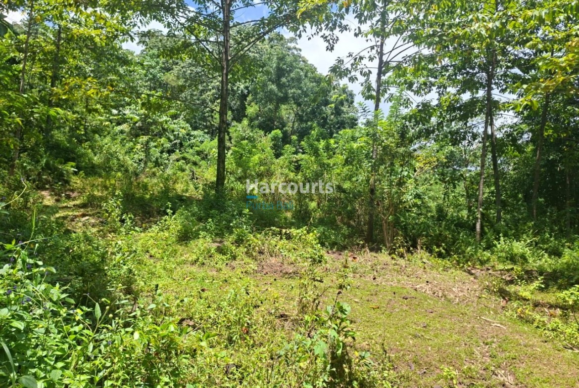 Positioned One Indonesias Fastest Growing Luxury Living