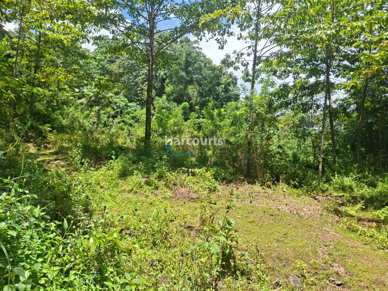 Positioned One Indonesias Fastest Growing Luxury Living