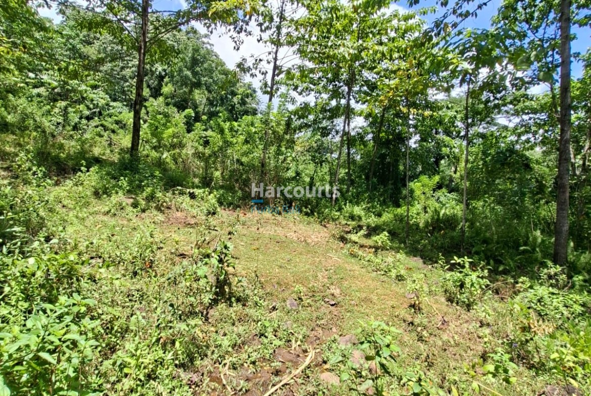 Positioned One Indonesias Fastest Growing Real Estate Flores1