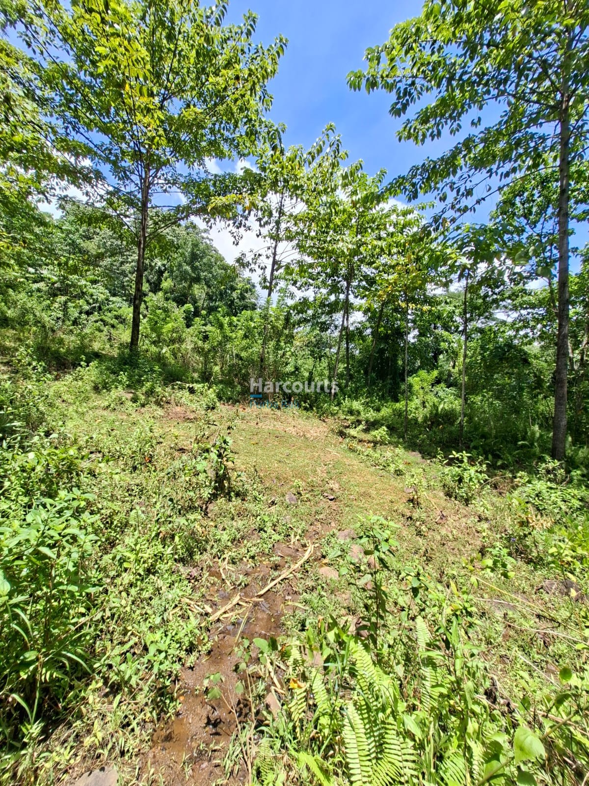 Positioned One Indonesias Fastest Growing Real Estate Flores1