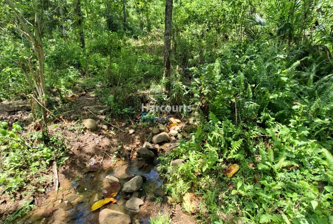 Positioned One Indonesias Fastest Growing Real Estate Flores3