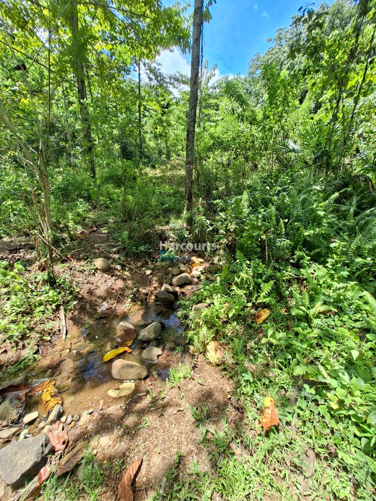 Positioned One Indonesias Fastest Growing Real Estate Flores3