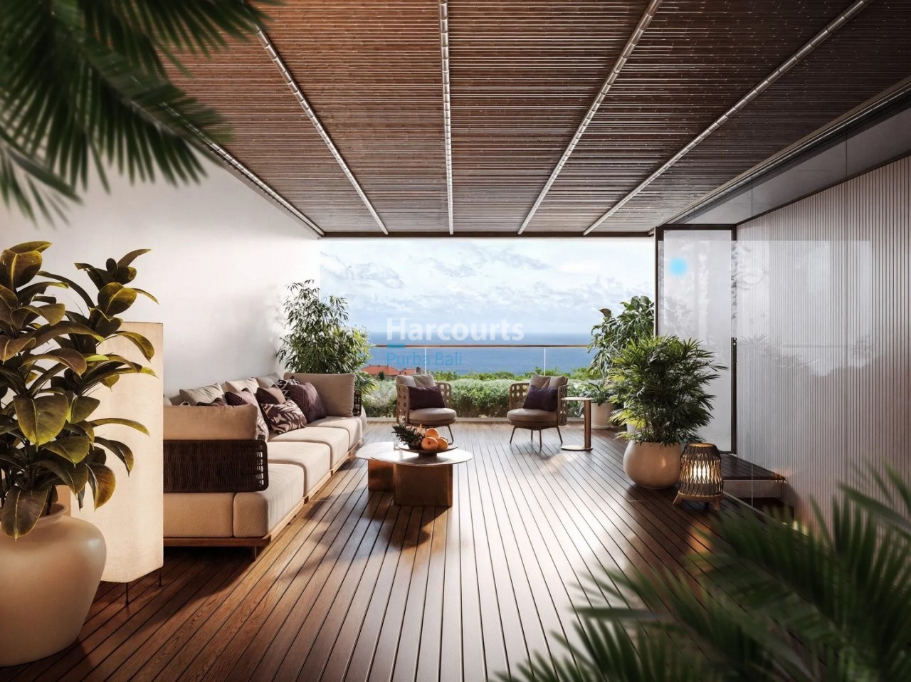 Positioned Rapidly Growing Coastal Tropical Modern