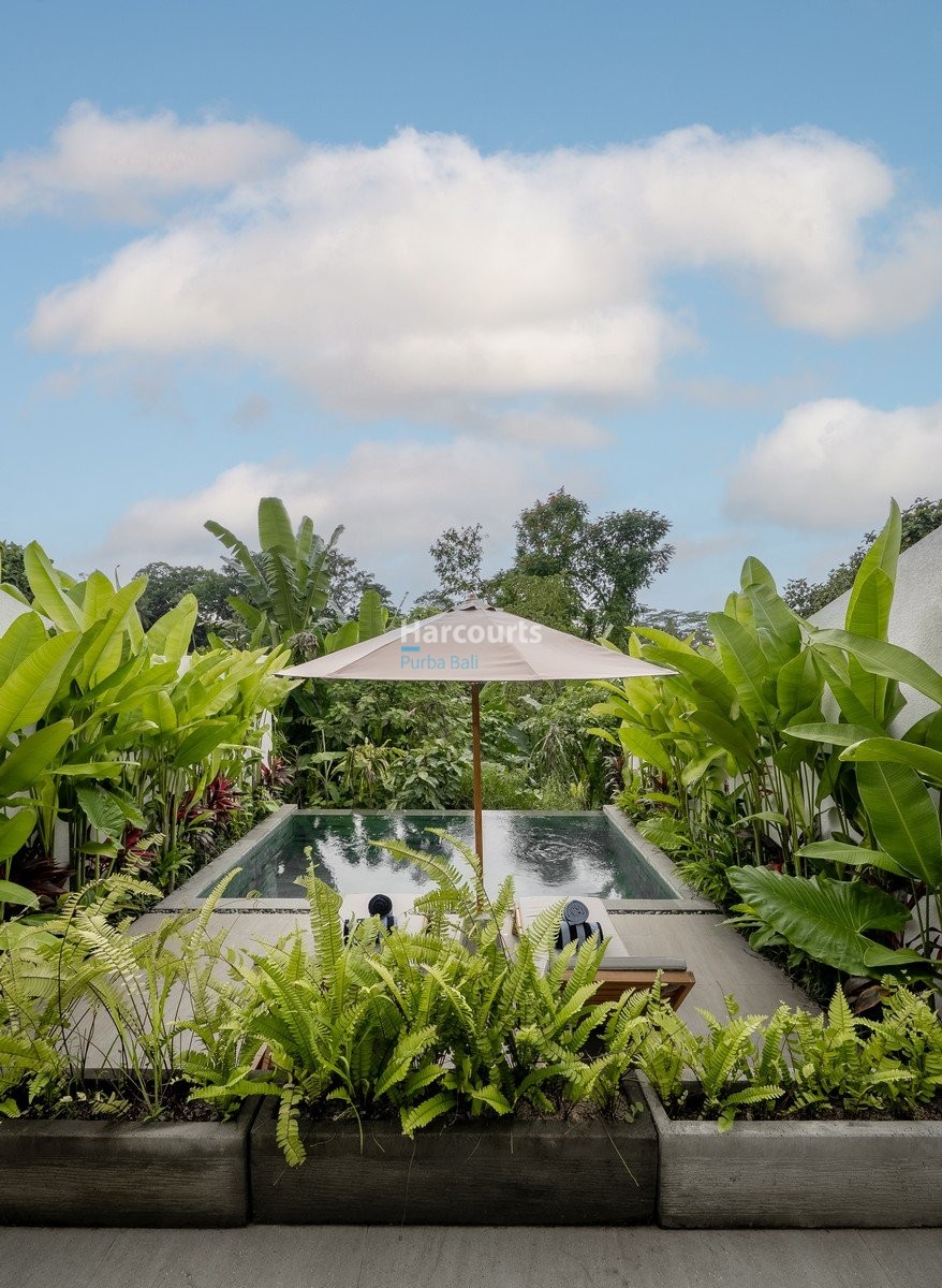 Set Amidst Lush Jungle Luxury Living