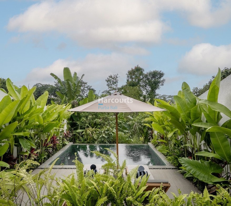 Set Within Lush Jungle Holiday Rental