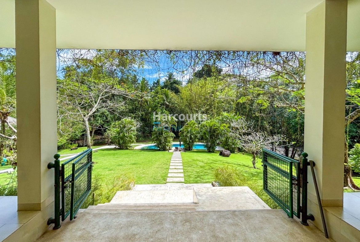 Along Serene Riverbanks Yeh Tropical Modern 1