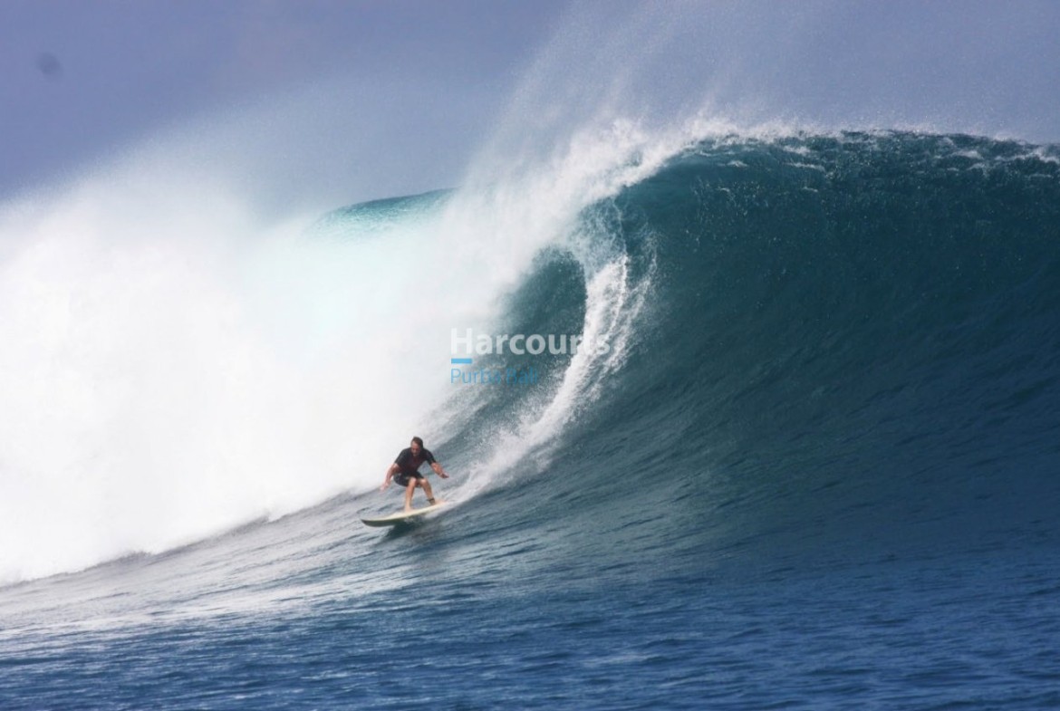 Discover Exceptional Opportunity Secure Real Estate Bali