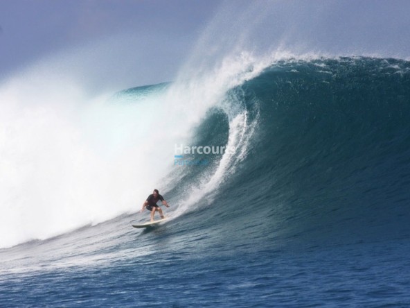 Discover Exceptional Opportunity Secure Real Estate Bali