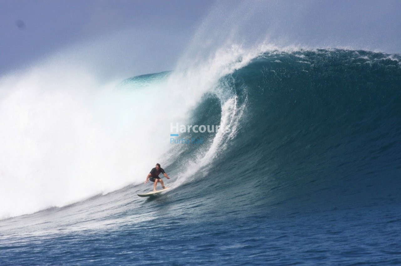 Discover Exceptional Opportunity Secure Real Estate Bali