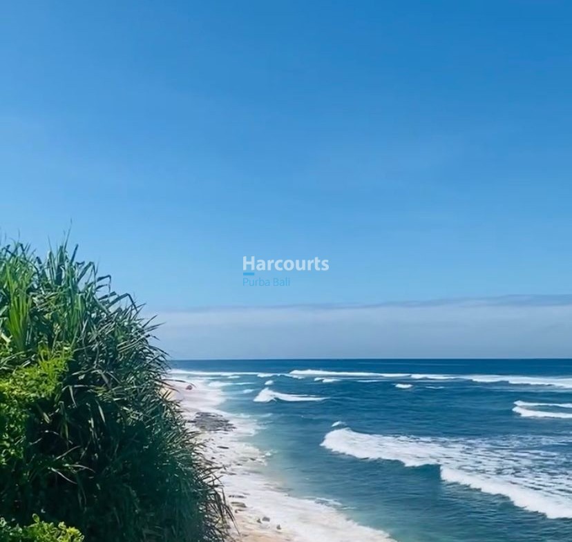 Experience Modern Coastal Living Tropical Modern2