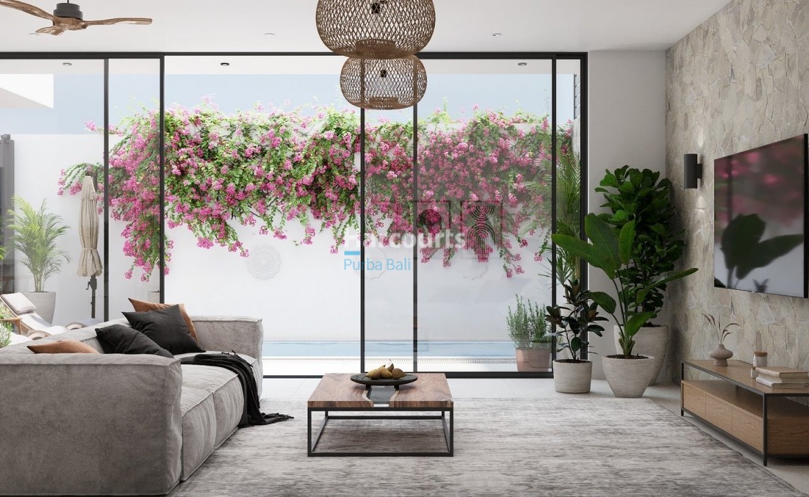 Introducing Exclusive Collection Modern Ricefield View