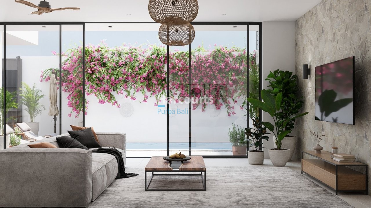 Introducing Exclusive Collection Modern Ricefield View