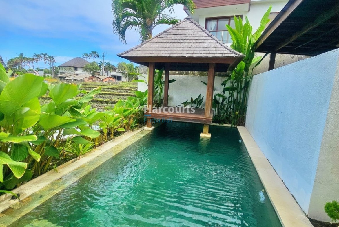 Located Peaceful Coastal Village Ricefield View