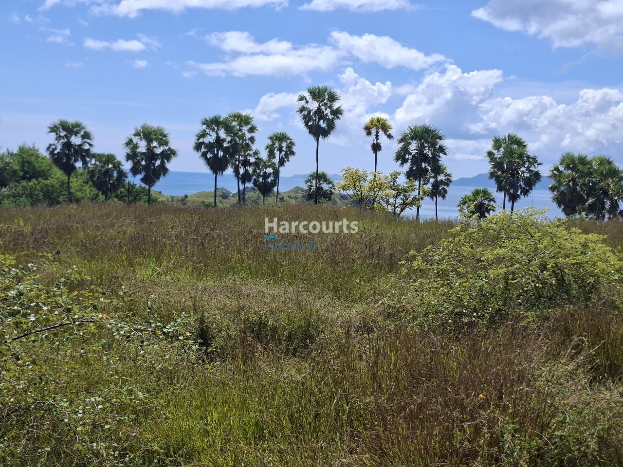 Positioned Elevated Hillside This Leasehold Opportunity