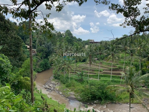 Rare Opportunity Secure Expansive For Sale