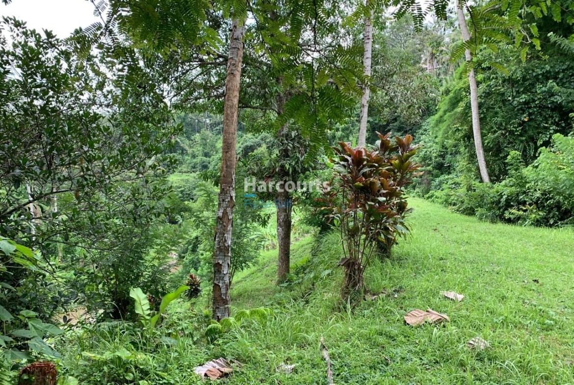 Rare Opportunity Secure Expansive Leasehold Opportunity