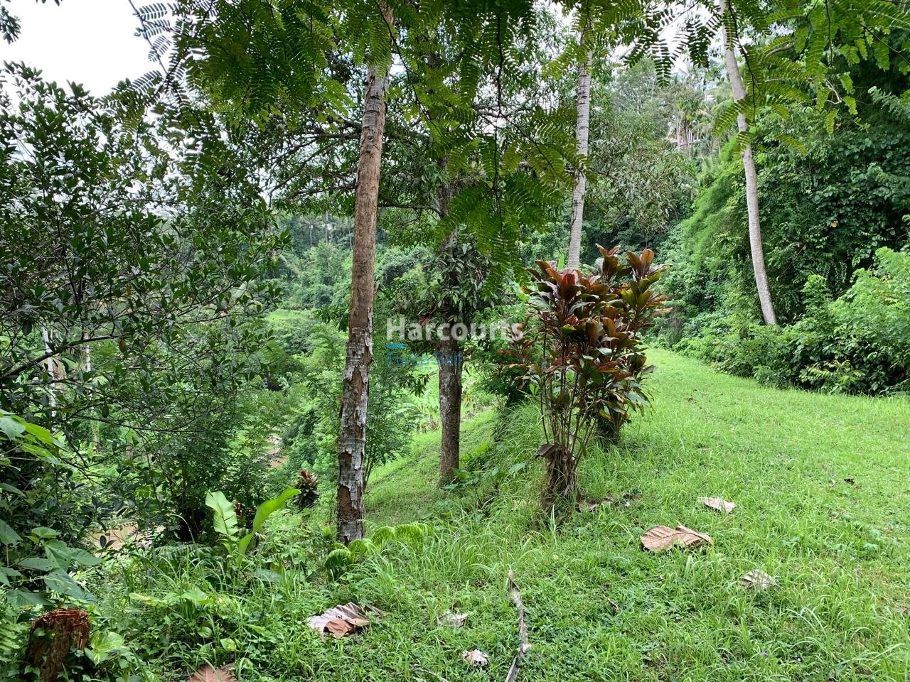 Rare Opportunity Secure Expansive Leasehold Opportunity