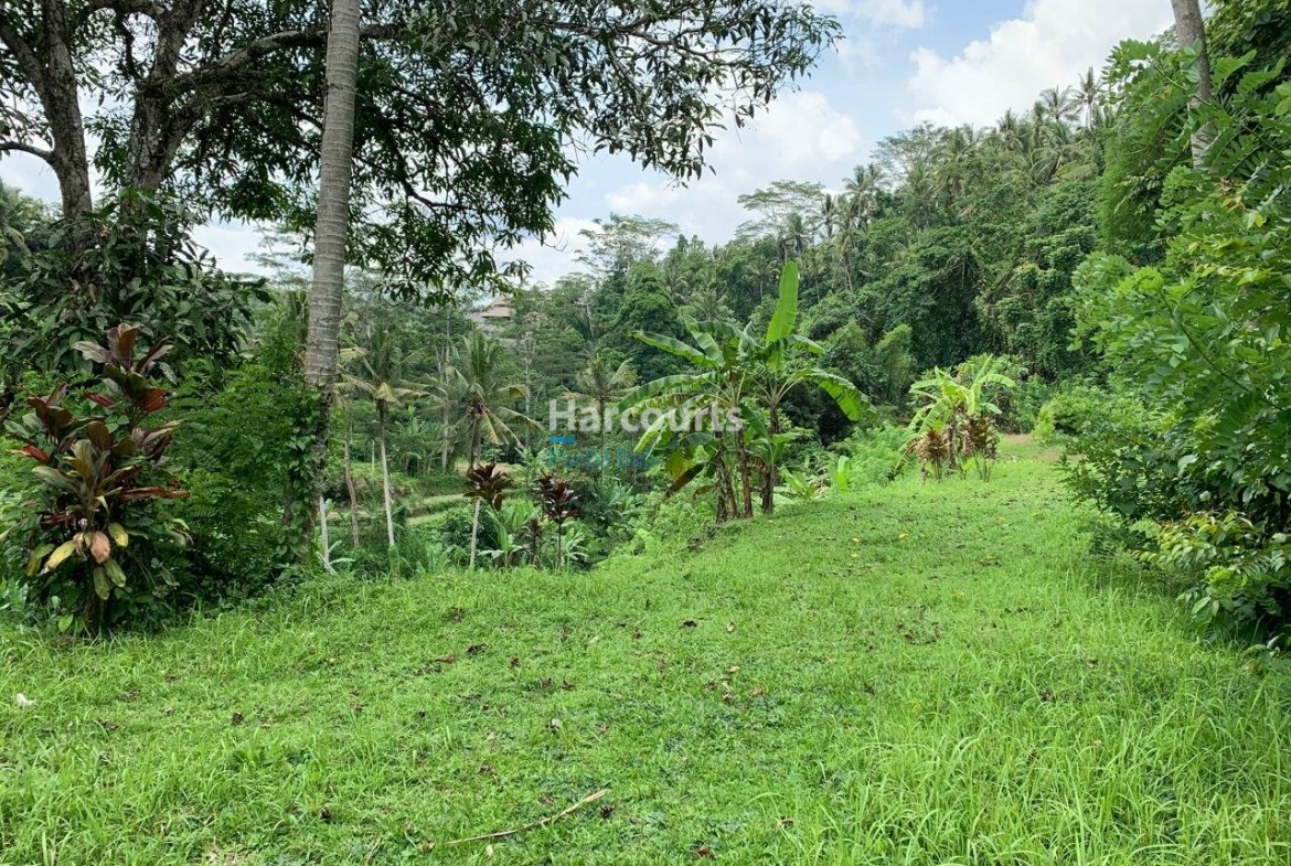 Rare Opportunity Secure Expansive Property Investment