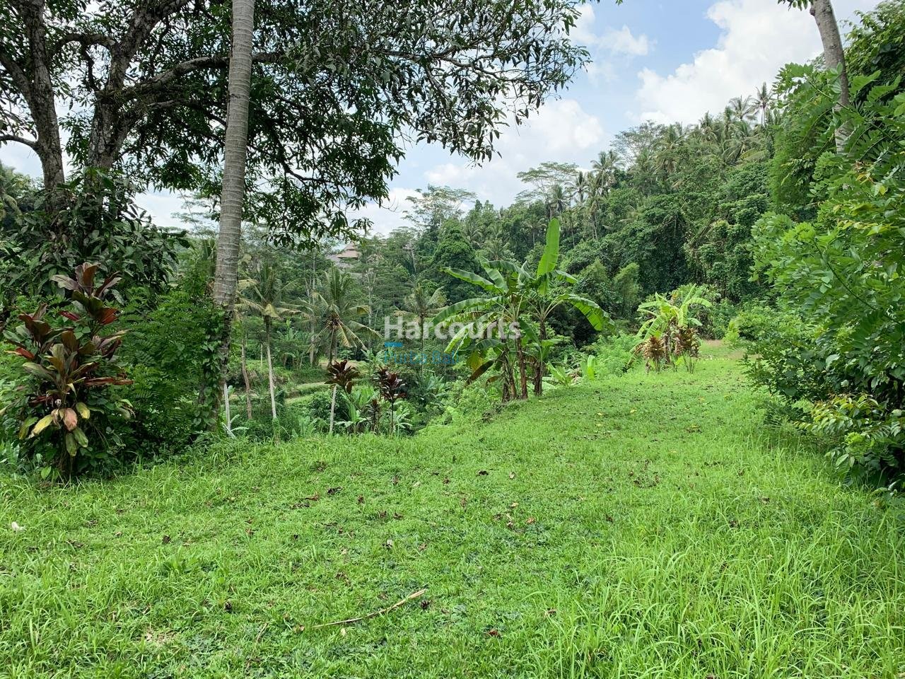 Rare Opportunity Secure Expansive Property Investment