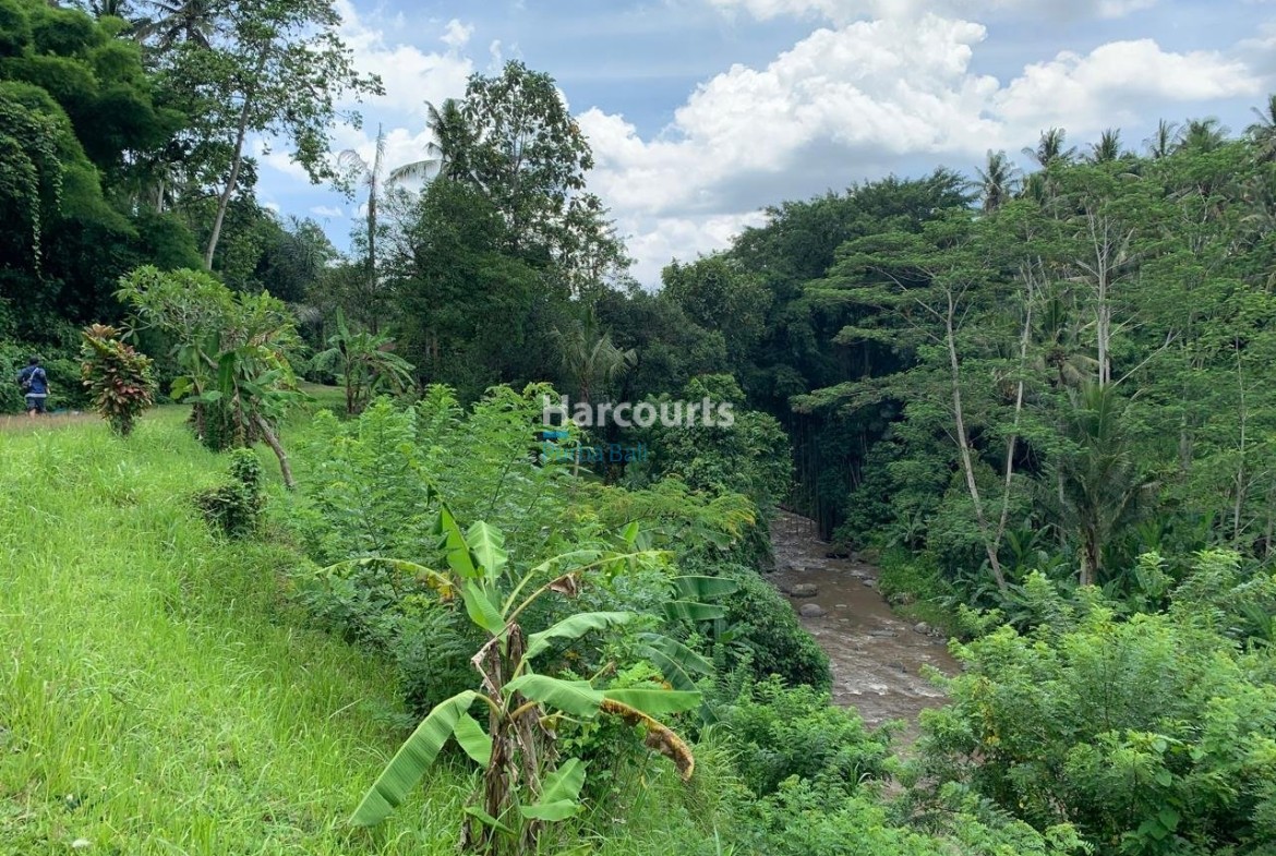 Rare Opportunity Secure Expansive Real Estate Bali