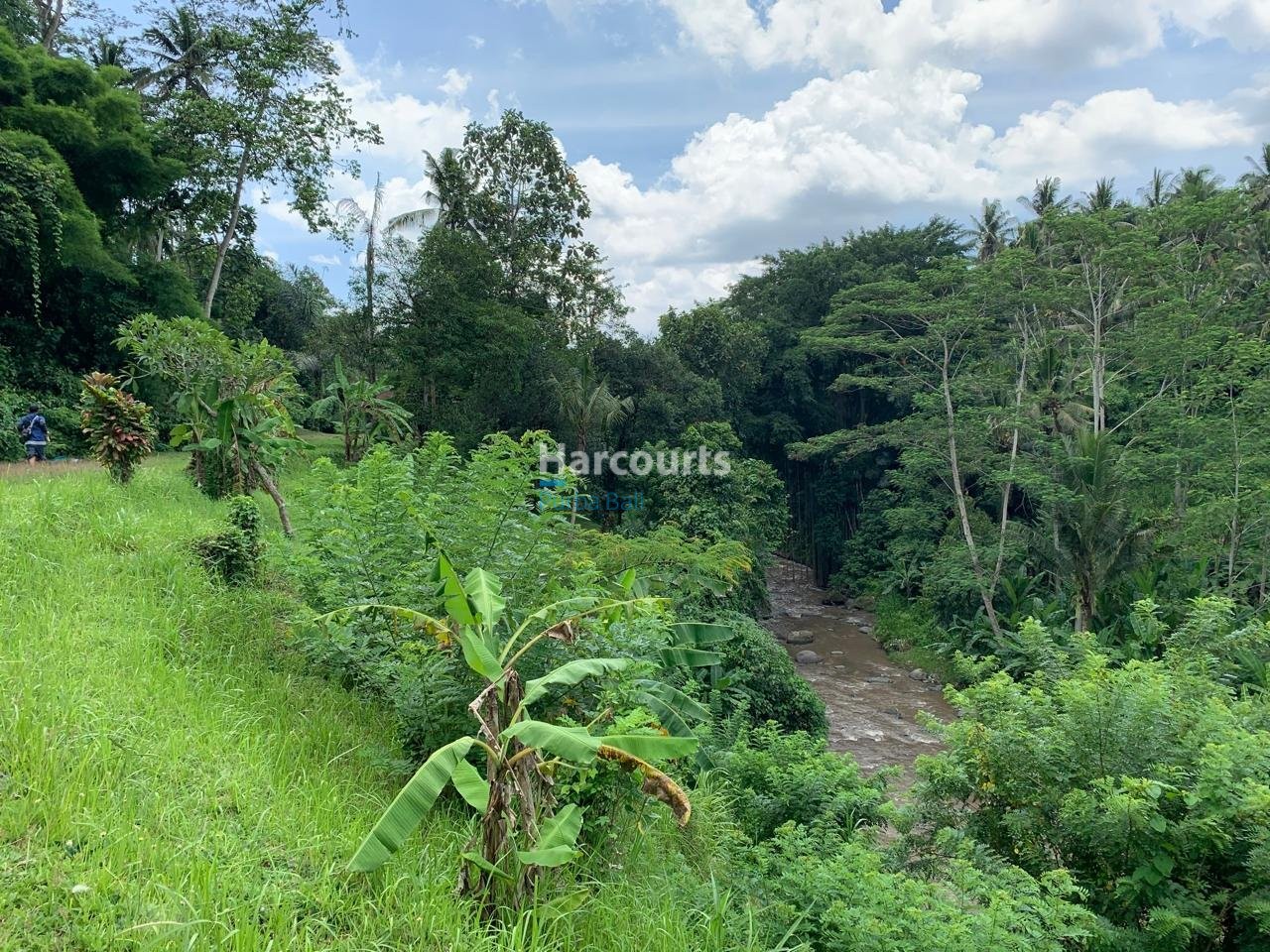Rare Opportunity Secure Expansive Real Estate Bali