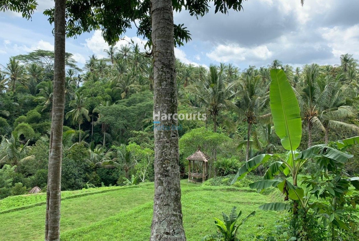 Rare Opportunity Secure Expansive Tropical Modern