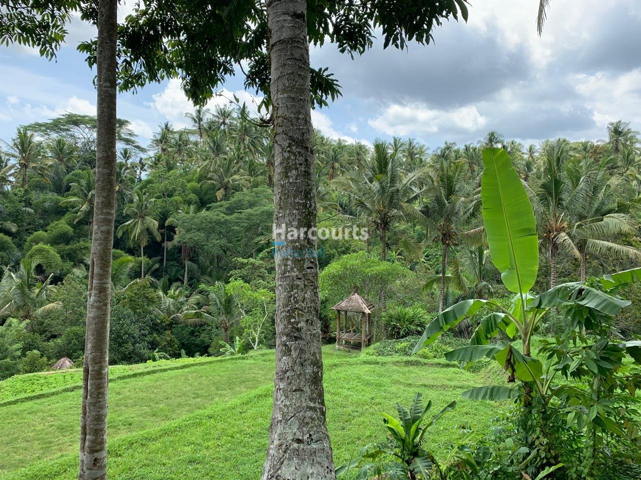 Rare Opportunity Secure Expansive Tropical Modern
