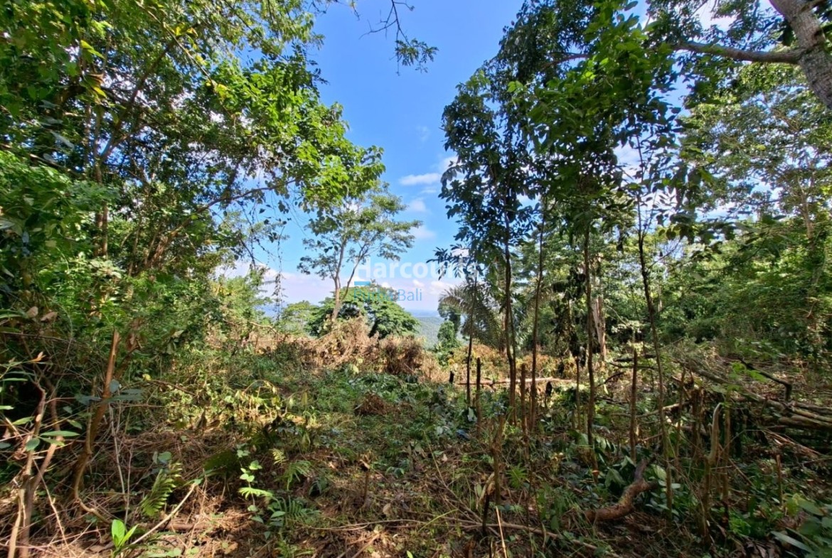 Rare Opportunity Secure Large Property Investment