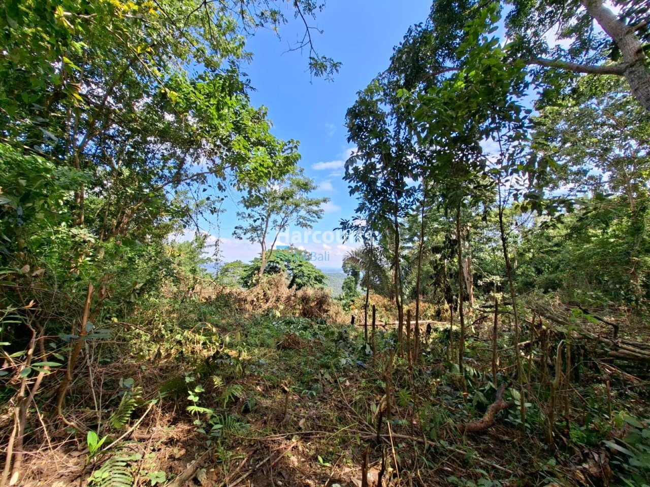 Rare Opportunity Secure Large Property Investment