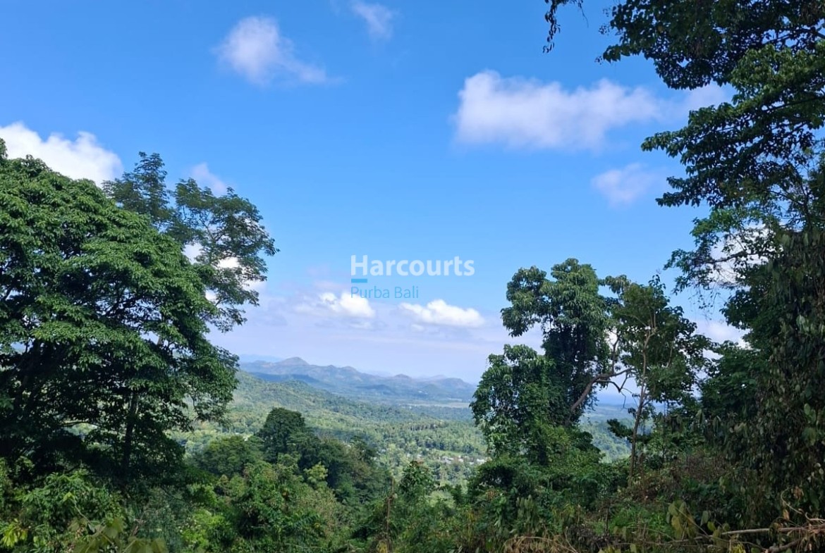 Rare Opportunity Secure Large Real Estate Bali