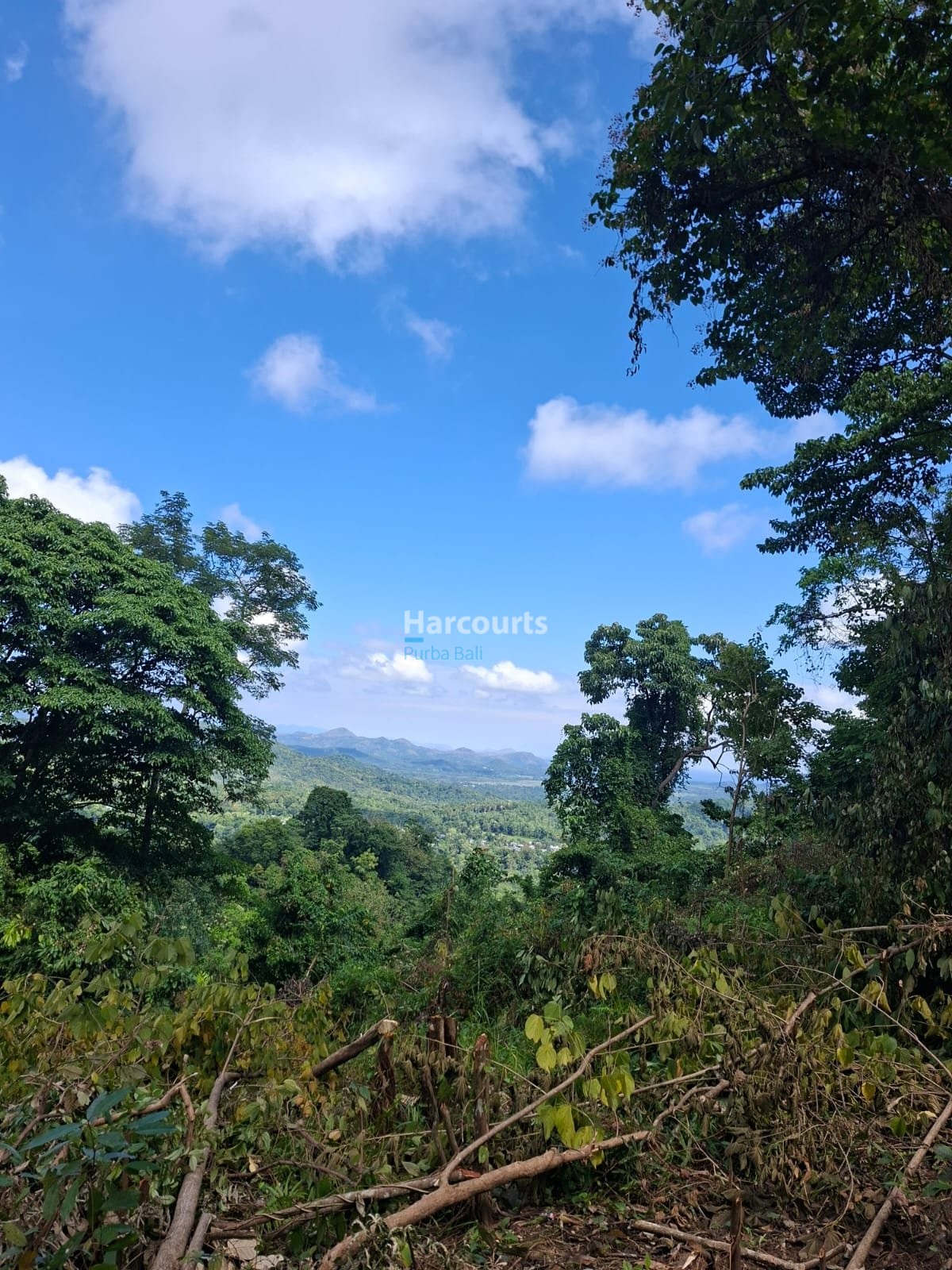 Rare Opportunity Secure Large Real Estate Bali