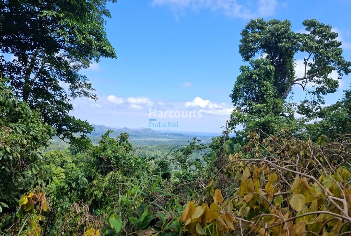 Rare Opportunity Secure Large Tropical Modern