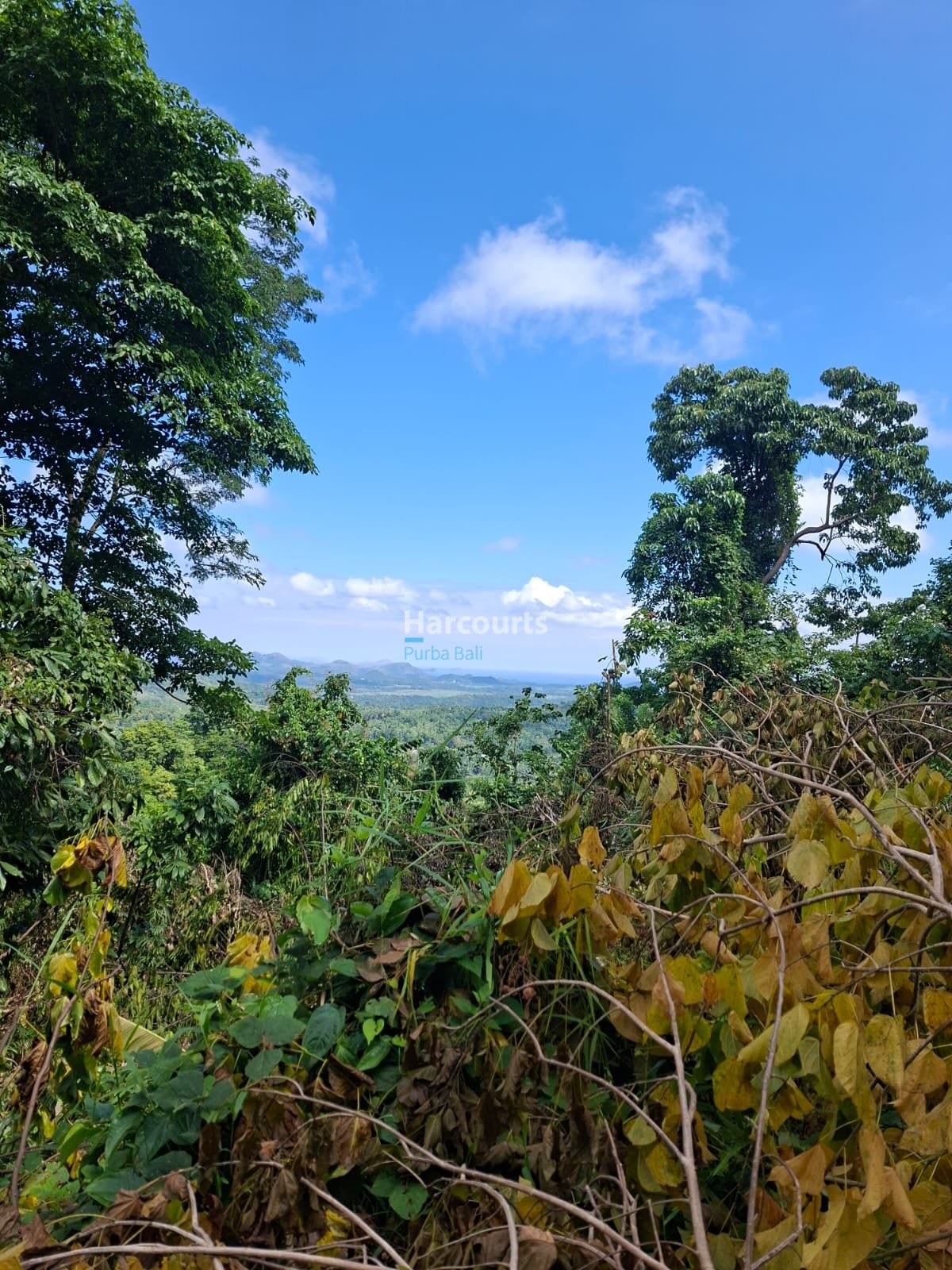 Rare Opportunity Secure Large Tropical Modern