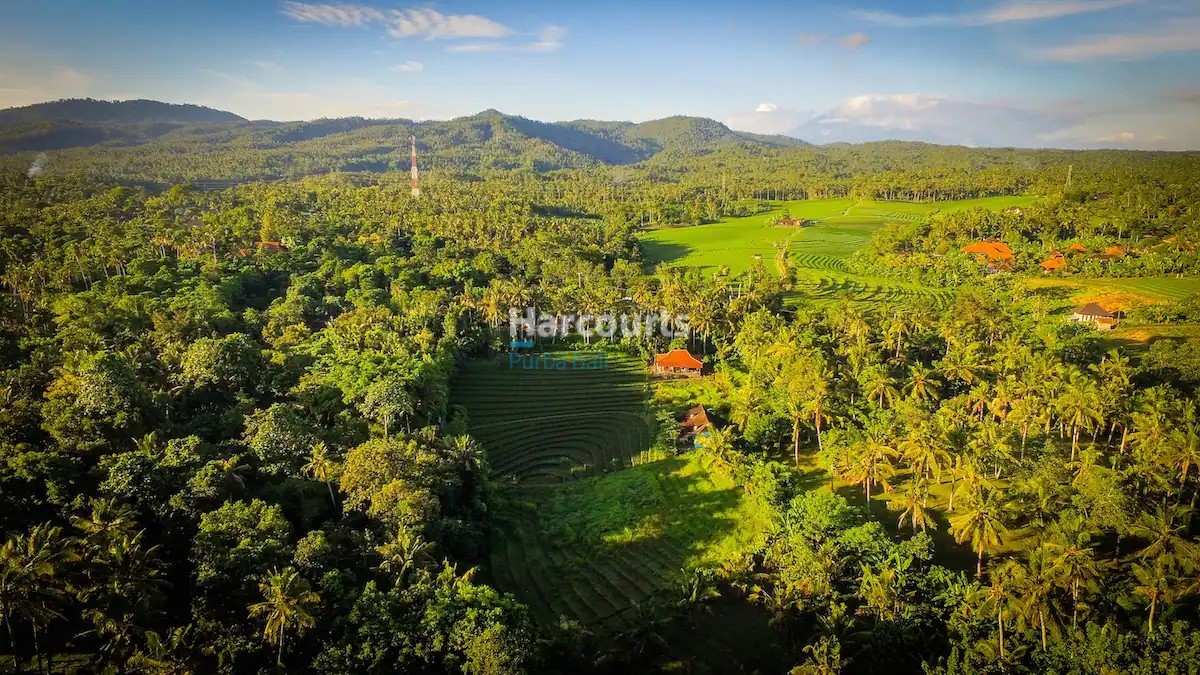 3positioned Tranquil Balian Tabanan Bali Home3