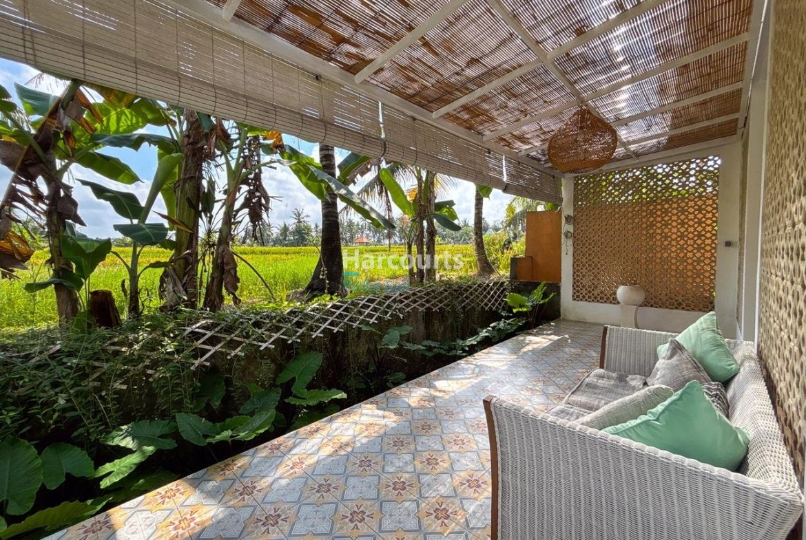 Nestled Amidst Tranquil Rice Tropical Modern